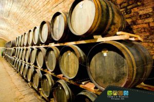 opdragelse Paranafloden sværge The best wines from Tuscia: True Italian excellence - Etruscan Life Tour